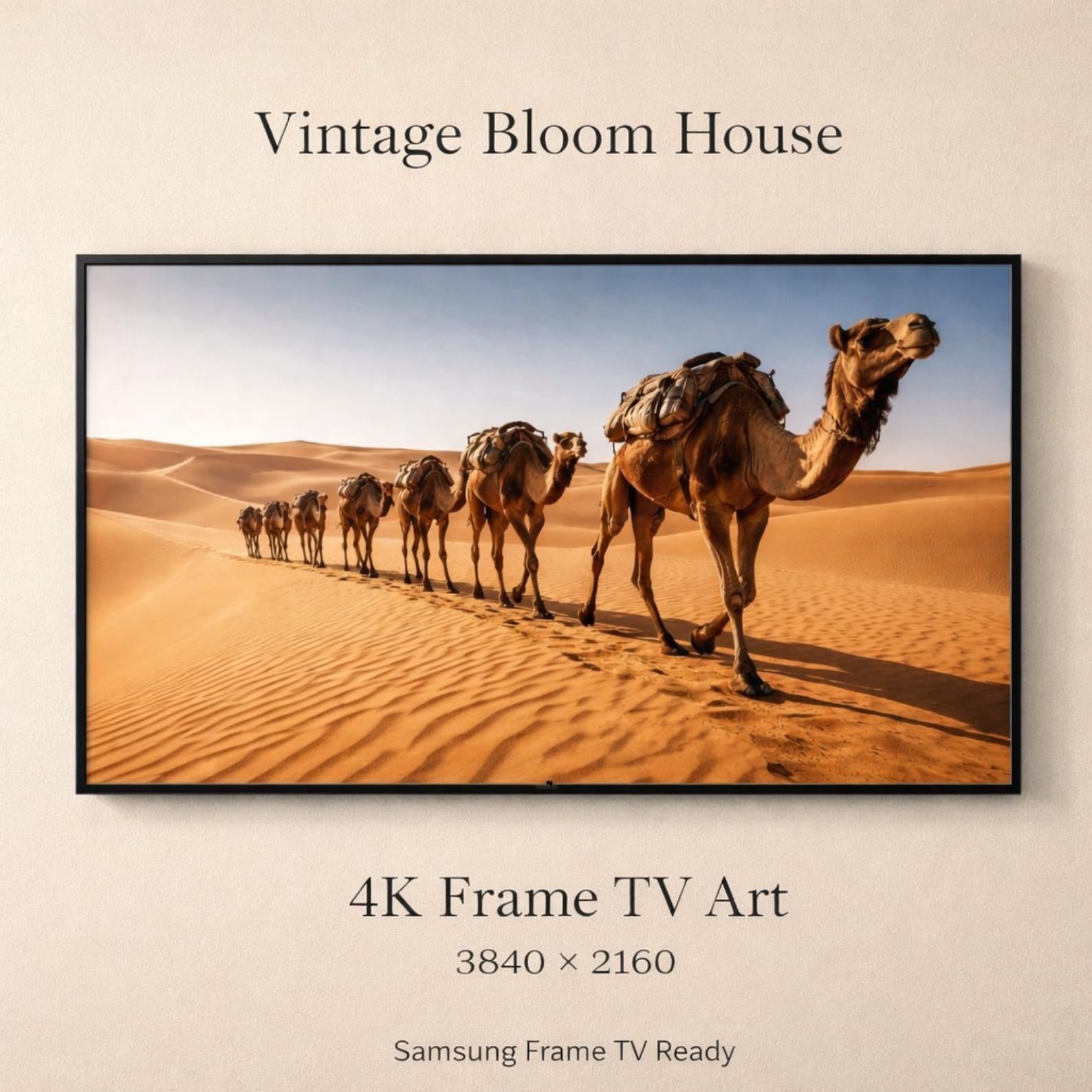 Sahara Camel Caravan Art | Desert Dunes Morocco Wall Art (Digital Download)